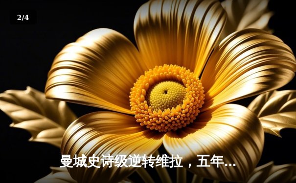 曼城史诗级逆转维拉，五年四夺英超桂冠 - 2